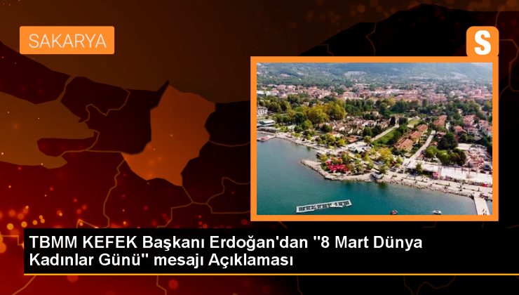 TBMM KEFEK Başkanı Erdoğan’dan “8 Mart Dünya Kadınlar Günü” mesajı Açıklaması