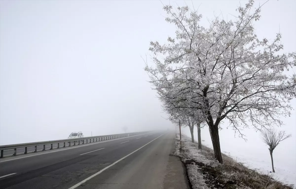 Bitlis’te Soğuk ve Sis Zorluğu